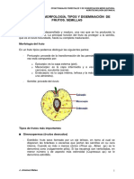 Frutos.pdf