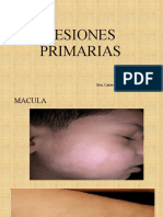 Lesiones Primarias y Secundarias