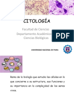 CITOLOGIA