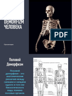 Половой Деморфизм костей черепа