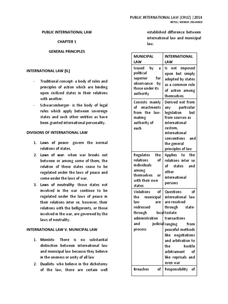 Overview of Public International Law | PDF | International Law | United ...