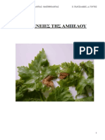 Shmeioseis Ampeloy PDF