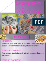 Foreign Currency & Foreign Exchange