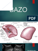 BAZO radiología