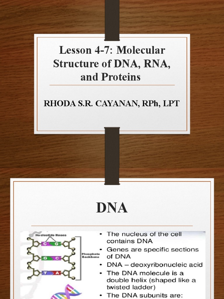 Lesson 4 Molecular Structure Of Dna Rna And Proteins Pptx Base Pair Rna