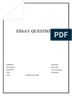 Essay Questions