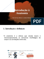 Aula 01 Introdução À Anatomia