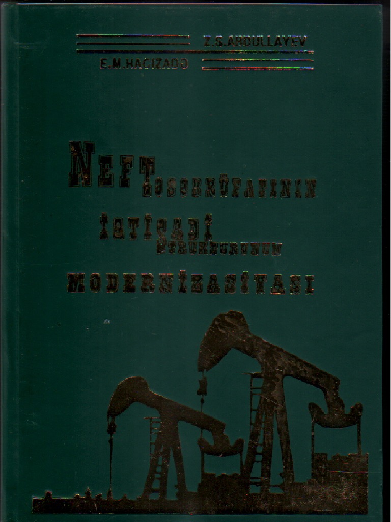 Neft Təsərrüfatinin İqti̇sadi̇ Strukturunun Moderni̇zasi̇yasi | PDF