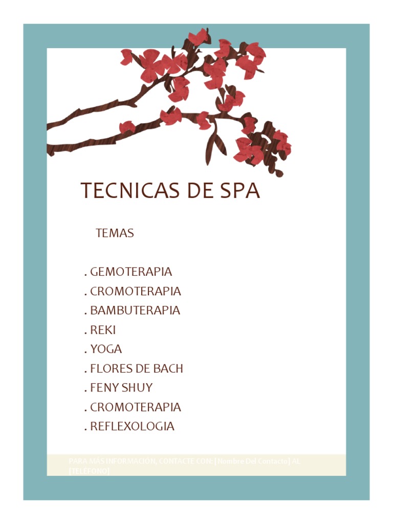 Tecnicas de Spa | PDF | Tratamiento de salud | Bienestar