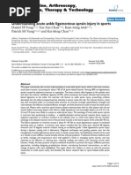 Download Understanding ankle sprain by musicbuffer SN47480409 doc pdf