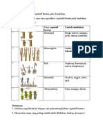 Tugas Reproduksi Vegetaif Buatan