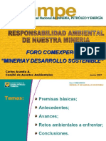 Responsabilidad Ambiental