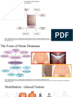 Kang S, Amagai M, Bruckner Al, Et Al. (2019) - Fitzpatrick'S Dermatology (9 Ed) - New York: Mcgraw-Hill Education. P1197