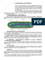 Citologia PDF