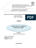 Mémoire Master.pdf