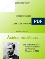 Acidos Nucleicos