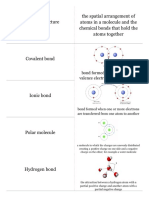 Biomolecules Quizlet Cards PDF