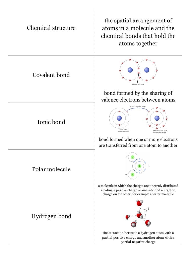 Biomolecules Quizlet Cards PDF PDF Lipid Carbohydrates