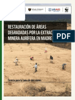 Restauracion MDD 1 PDF