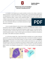 LabVirtual1 - Variaciones - Cromatina - Barr - 2020 - SMN30052020