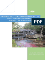 Informe Final Medio Ambiente 2015 Guaviare(1).pdf