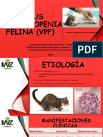 Virus Panleucopenia Felina (VPF)