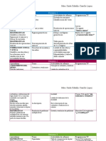 PLAN DE TRABAJO