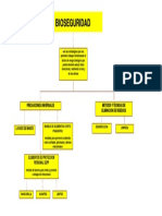 Esquema Mapa Conceptual Bioseguridad