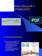 Excitabilidad_qfis