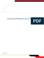s3_escala_madurez_procesos.pdf