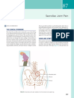 Sacroiliac Joint Pain