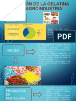 Aplicación de La Gelatina en La Agroindustria