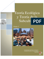 Informe Grupo 3. - Teoria Ecologica y Subculturas PDF