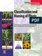 Classification and Naming of Plants: Extension