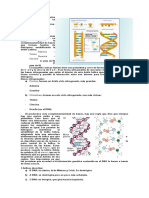 biocel prueba3.1.docx