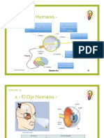 Sesión 2. - El Ojo Humano