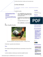 Ver Fotos de Gallos de Pelea del Mundo_ Cualidades razas o líneas de gallos de pelea