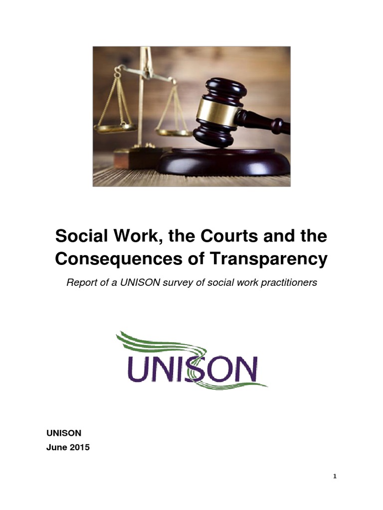 Social Work Transparency Survey Report | PDF | Social Work | Risk