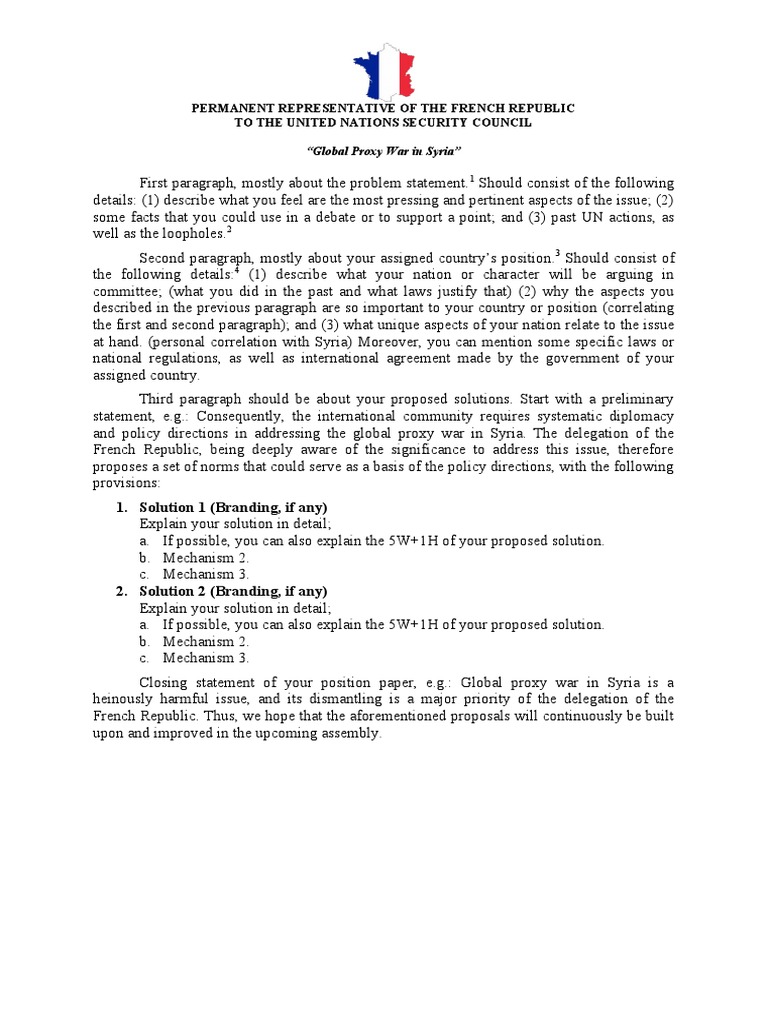 France's Position on Syria Proxy War | PDF | United Nations Security ...