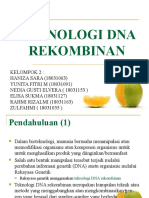 Kelompok 2 Teknologi Rekombinan DNA