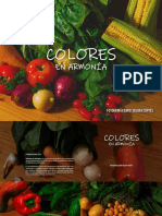 Catálogo Fotográfico Colores en Armonía