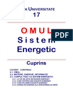 39970180-omul-sistem-energetic-121120115634-phpapp02.pdf