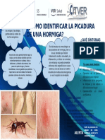 Hormiga Info 1 PDF