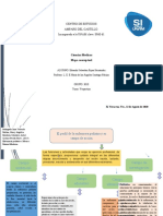 Ciencias Medicas Mapa conceptual enfermeria pediatria