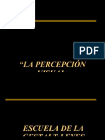 Percepcion 2007