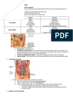 Genitourinary and Reproductive Systems Anatomy