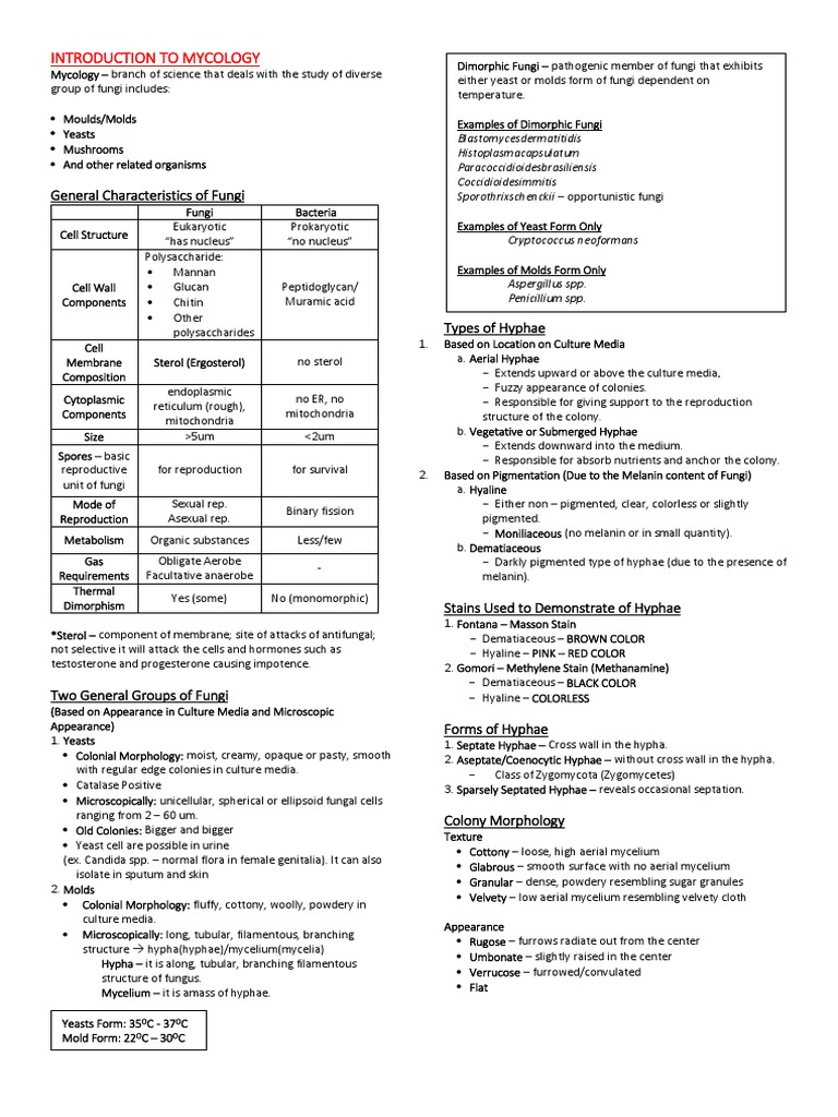 Overview of Mycology Basics | PDF | Mold | Fungus