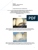 Partea 3 Restaur Dir Compoz Cls IV IC IL Max 2.1. 2.2.