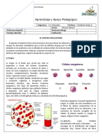 GUIA 1, 2NM NUEVA TALCUNA CN.pdf