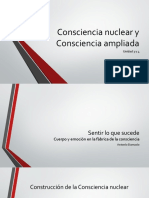 Consciencia Nuclear y Consciencia Ampliada